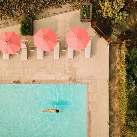 Sagecliffe Resort & Spa George Luaran gambar